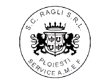 company logo