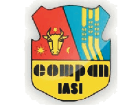 company logo