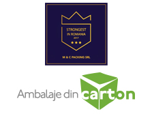 company logo