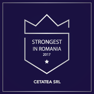 company logo