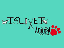 company logo