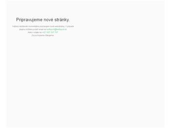 Náhľad webu Náhľad webu