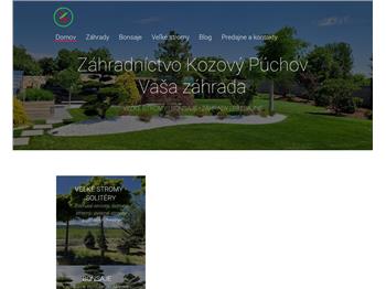 Náhľad webu Náhľad webu