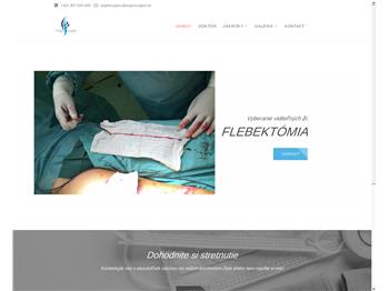 Náhľad webu Náhľad webu