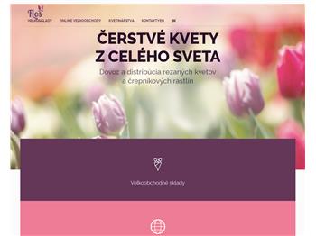 Náhľad webu Náhľad webu