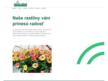 Náhľad webu Náhľad webu