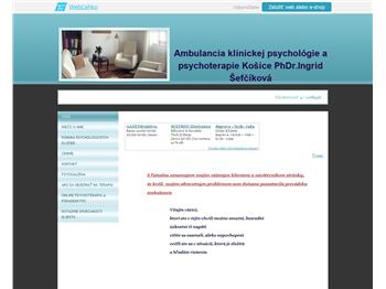 Náhľad webu Náhľad webu