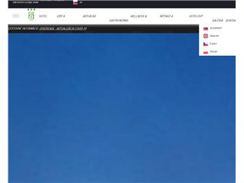 Náhľad webu Náhľad webu