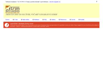 Náhľad webu Náhľad webu