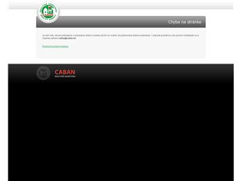 Náhľad webu Náhľad webu