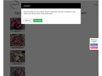 Náhľad webu Náhľad webu