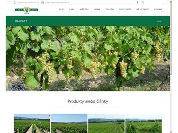 Náhľad webu Náhľad webu