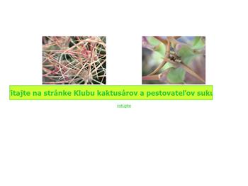 Náhľad webu Náhľad webu